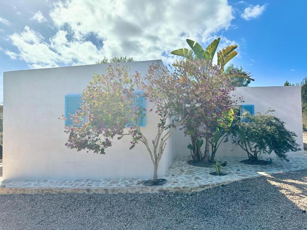 Casa Rustick Villa San Francisco Javier Exterior photo